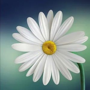 Meet your Posher, Muriel